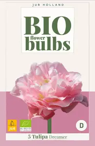 Tulp 'Dreamer' - Bio