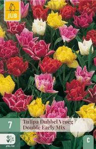 Tulp Dubbel Vroeg - Mix