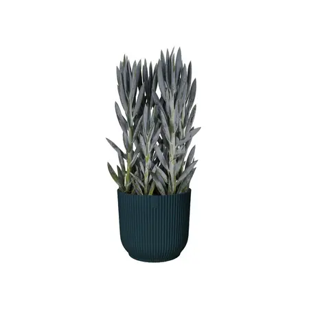 VIBES FOLD RO 18CM DIEPBLAUW - afbeelding 4