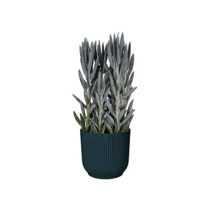 VIBES FOLD RO 18CM DIEPBLAUW - afbeelding 4
