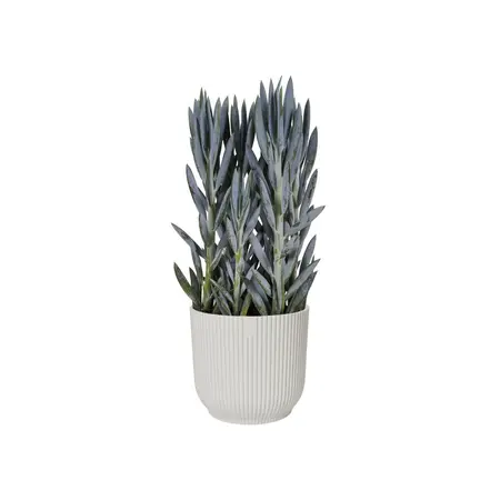 VIBES FOLD RO 18CM ZIJDEWIT - afbeelding 2