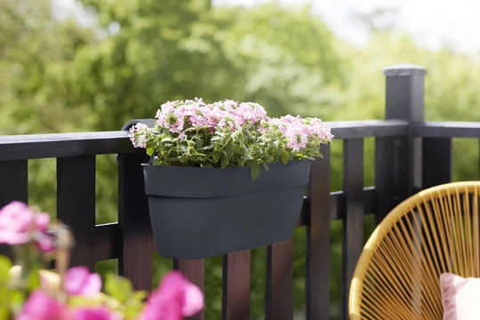 Vibia Campana Easy Hanger - Large - Antraciet - afbeelding 4