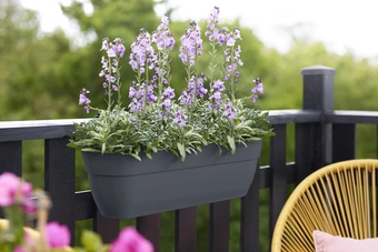 Vibia Campana Easy Hanger - XL 58cm - Antraciet - afbeelding 2