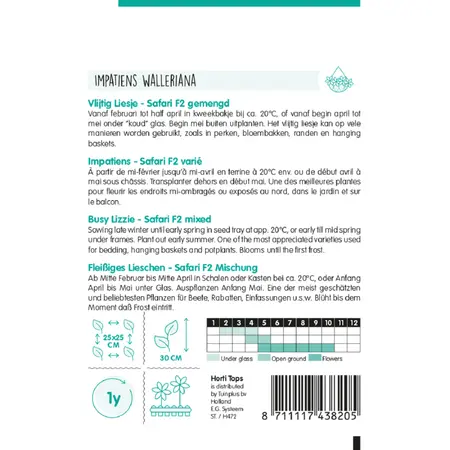 Vlijtig Liesje 'Safari' F2 - afbeelding 2