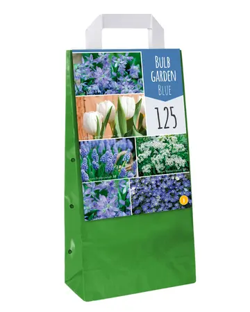 Voorjaarsbloeiende Bloembollen - 6 soorten Blauw/Wit - afbeelding 3