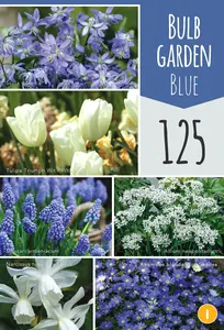 Voorjaarsbloeiende Bloembollen - 6 soorten Blauw/Wit - afbeelding 2