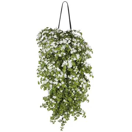 WANDHANGER BACOPA - afbeelding 1