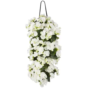 WANDHANGER BEGONIA - afbeelding 2