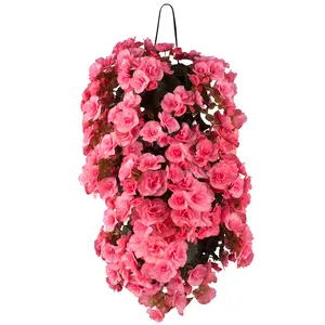 WANDHANGER BEGONIA - afbeelding 4