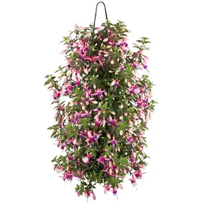 Wandhanger Fuchsia - afbeelding 2