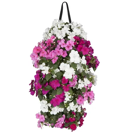 WANDHANGER IMPATIENS - afbeelding 2