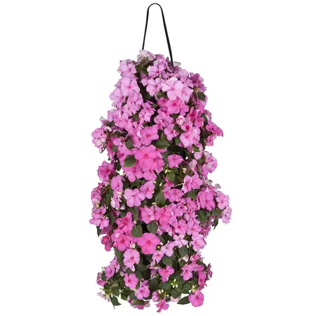 WANDHANGER IMPATIENS - afbeelding 4