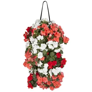 WANDHANGER IMPATIENS - afbeelding 5