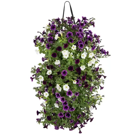 WANDHANGER LITTLE TUNIA - afbeelding 3