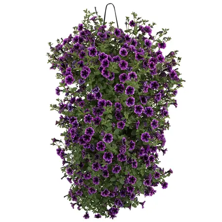 WANDHANGER LITTLE TUNIA - afbeelding 4