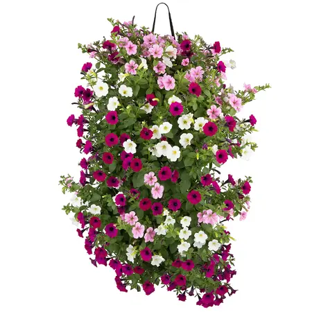 Wandhanger Little Tunia - afbeelding 1