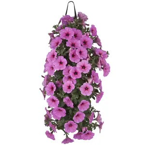 WANDHANGER PETUNIA - afbeelding 7