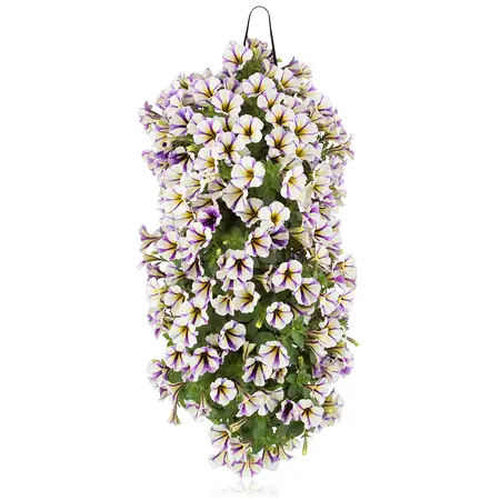 WANDHANGER PETUNIA - afbeelding 4