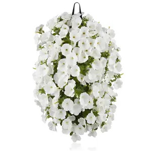 WANDHANGER PETUNIA - afbeelding 7