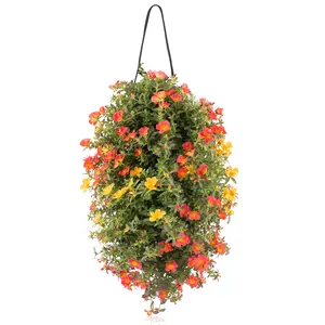 WANDHANGER PORTULACA - afbeelding 2