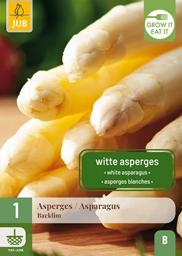Asperge 'Backlim' - Wit