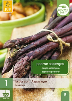 Asperge 'Erasmus' - Paars