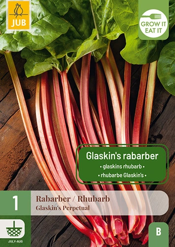 Rabarber 'Glaskins Perpetual'