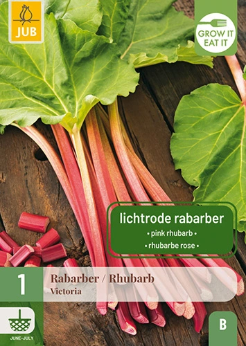 Rabarber 'Victoria'