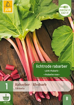 Rabarber 'Victoria'
