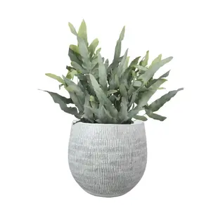 Zink- of Blauwvaren 'Blue Star' - P17cm - afbeelding 2