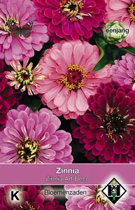 Zinnia 'Art Deco'